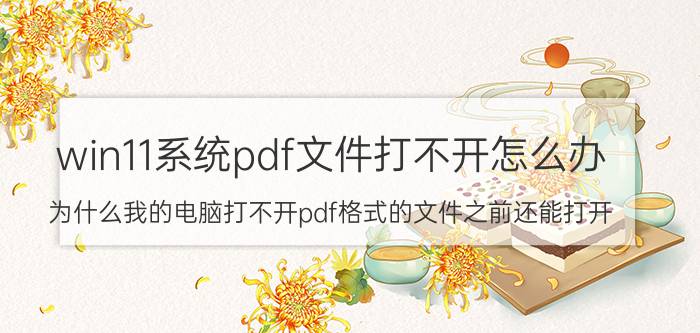 win11系统pdf文件打不开怎么办 为什么我的电脑打不开pdf格式的文件之前还能打开？